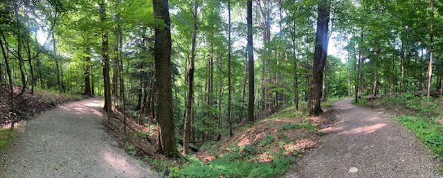 Trekking Is In The Future!